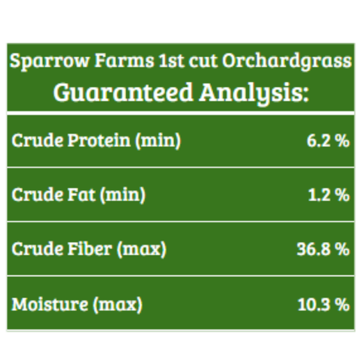 1st Cut Orchard Grass (2025)