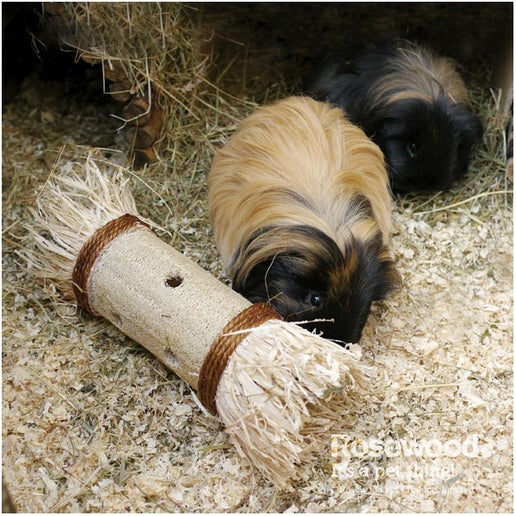 Rosewood - Loofa Toss 'n' Treat Roller