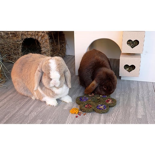 Rosewood - Flower 'n' Forage Blossom