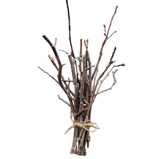 Apple wood Twigs And Sticks