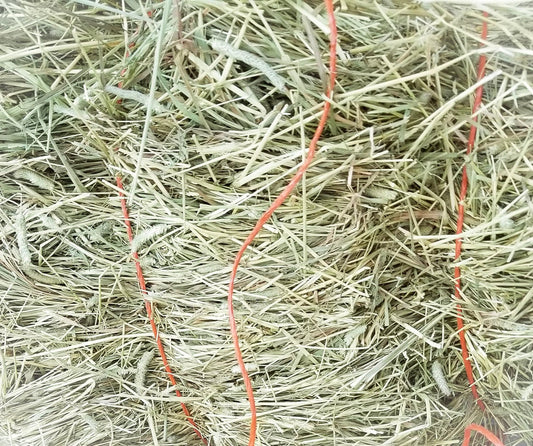 1st Cut Timothy (2025)