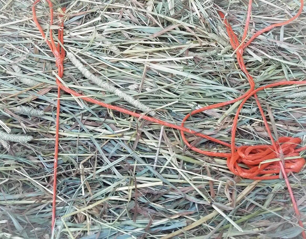 1st Cut Meadow Mix (2025)