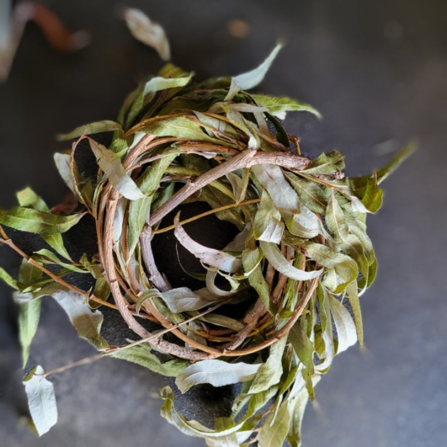 Leafy Willow Rings