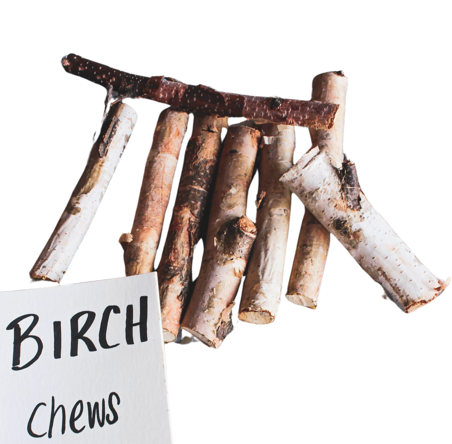 Birch Top Chews