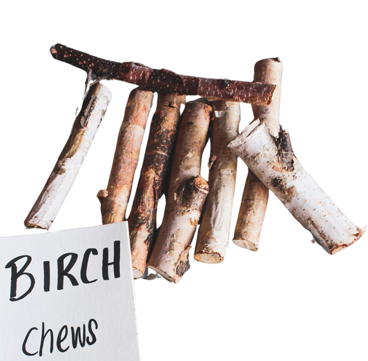 Birch Top Chews